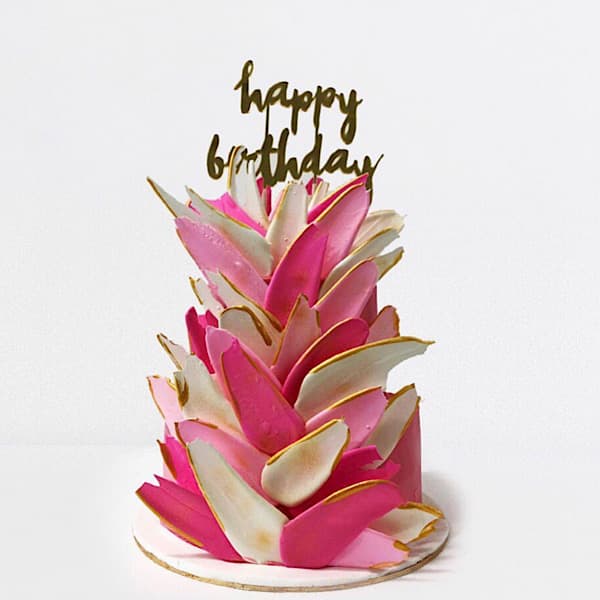 Shades of Pink Cake
