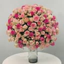 Pink Wonders