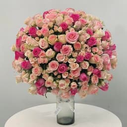 Pink Wonders