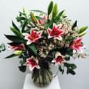Vintage Pink Lily