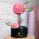 Astounding Flowers