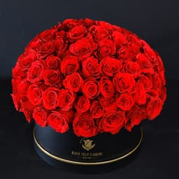 Amazing Red Roses