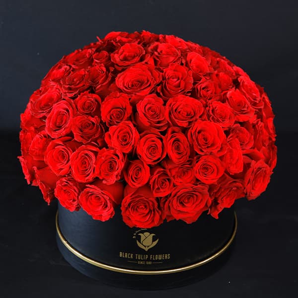 Amazing Red Roses