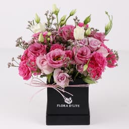 Pink Delight