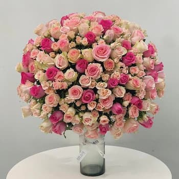 Pink Wonders