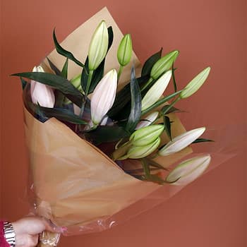 Treasured Pink Lilies