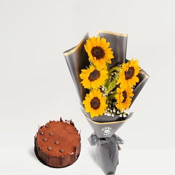 Sunflower Tiramisu