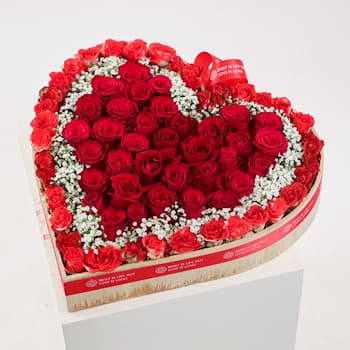 Red Love Shades