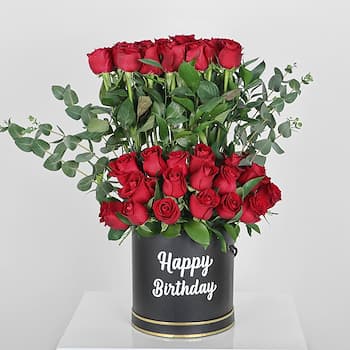 Red Birthday Rosa