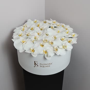 Orchid Flowers Box
