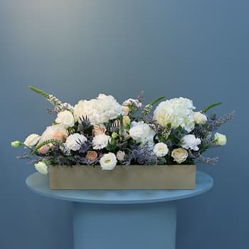 Tray Arrangement