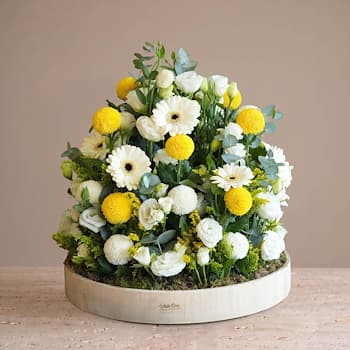 Blooming Joy