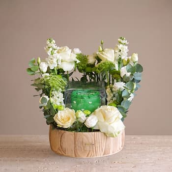 Green Cake Melody