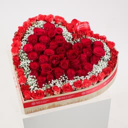 Red Love Shades