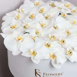 Orchid Flowers Box