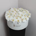 Orchid Flowers Box