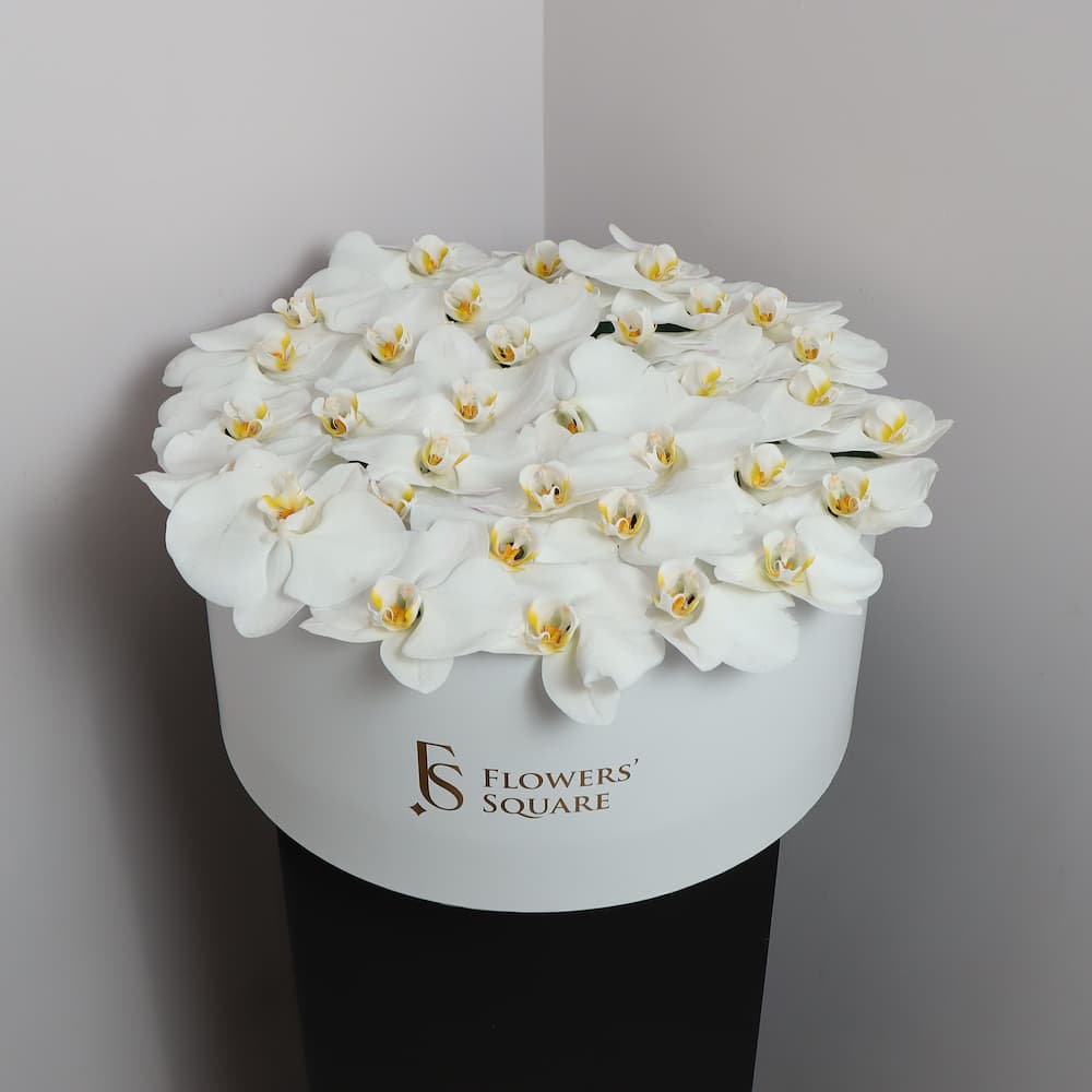 Orchid Flowers Box