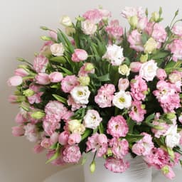 Lisianthus And Tulips Elegance