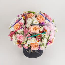 Bloom & Learn Box