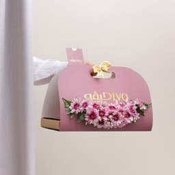 Beauty Bundle