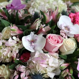 Happy Pink