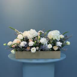 Tray Arrangement