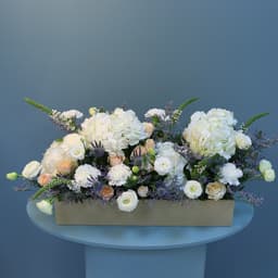 Tray Arrangement