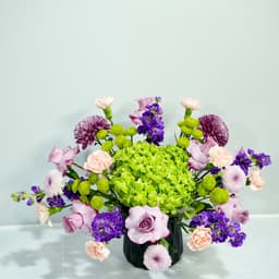 Green & Purple Symphony