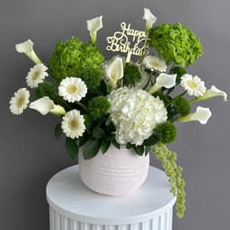 Luxe Verdant