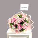 Pink Rosita
