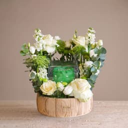 Green Cake Melody