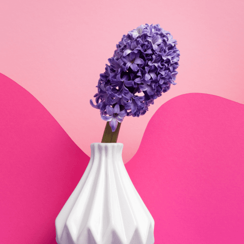 Vases