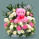 Bear Garden
